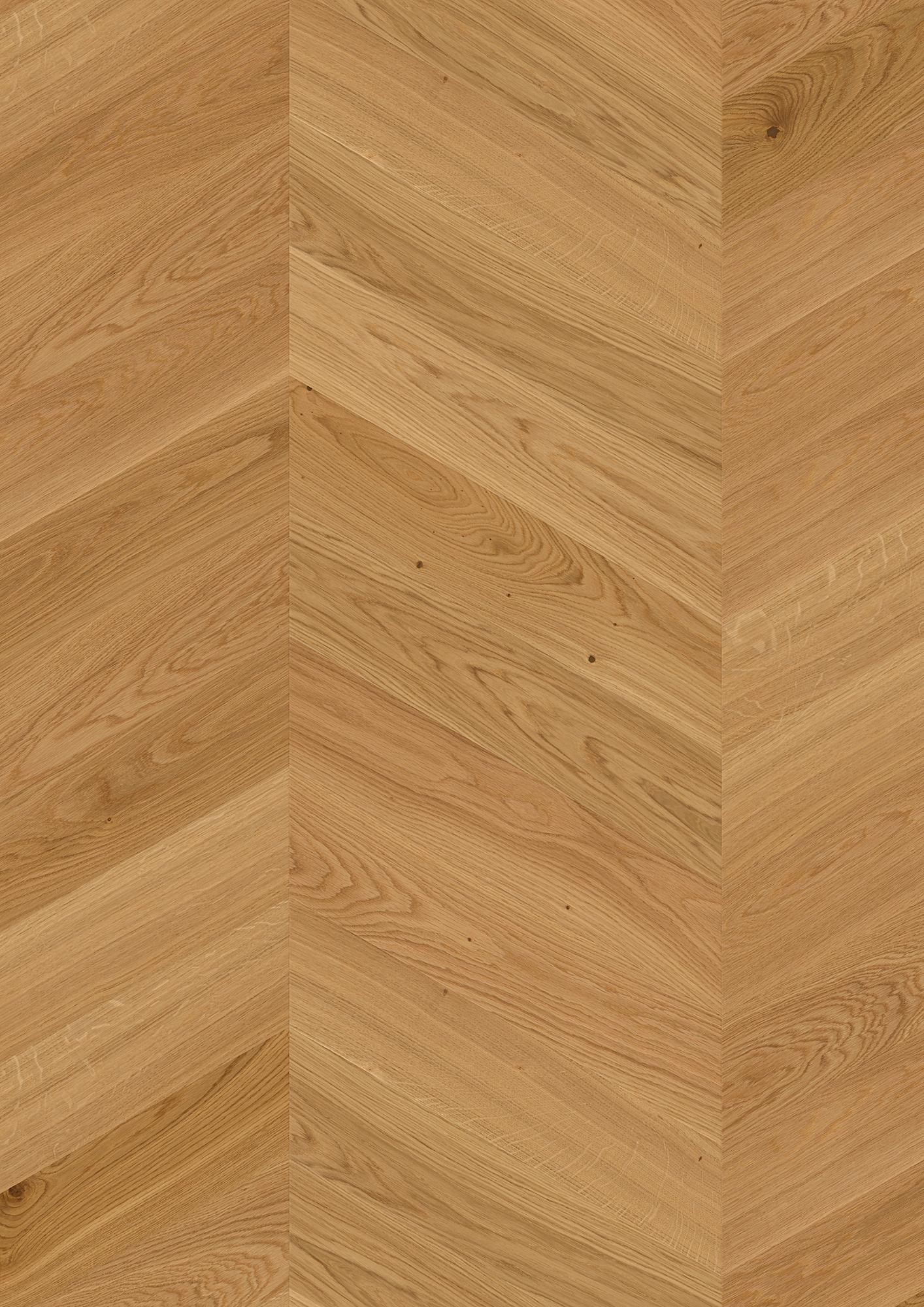 Oak Adagio