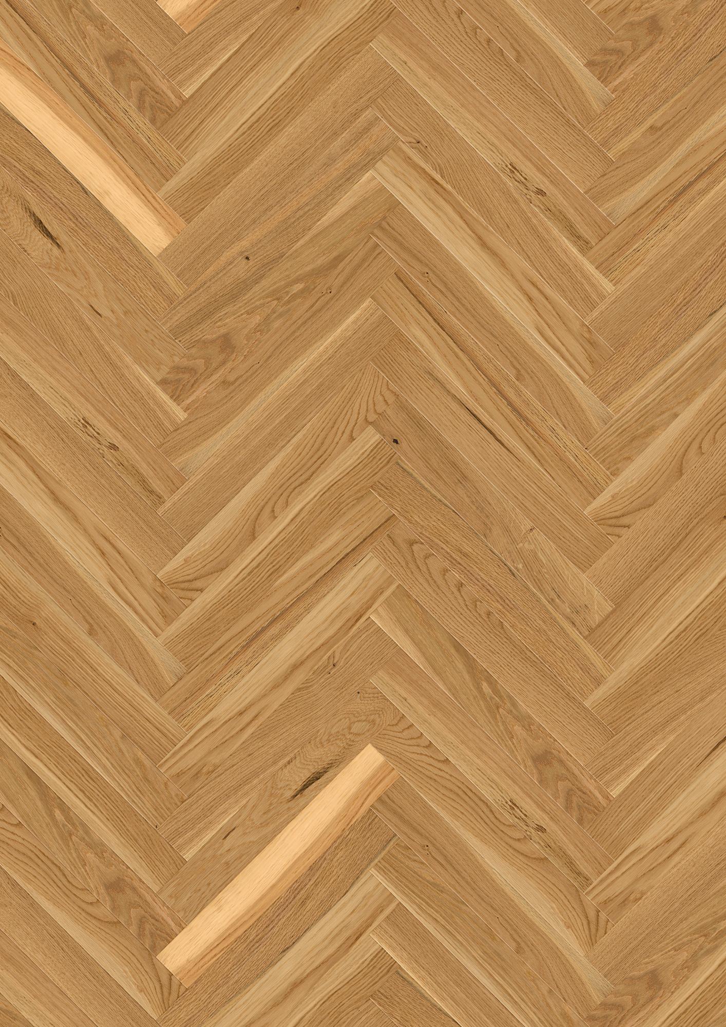 Oak Transparent Structure