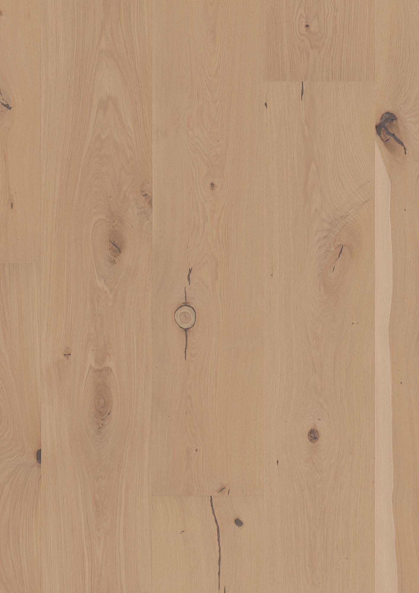 Oak Transparent Traditional