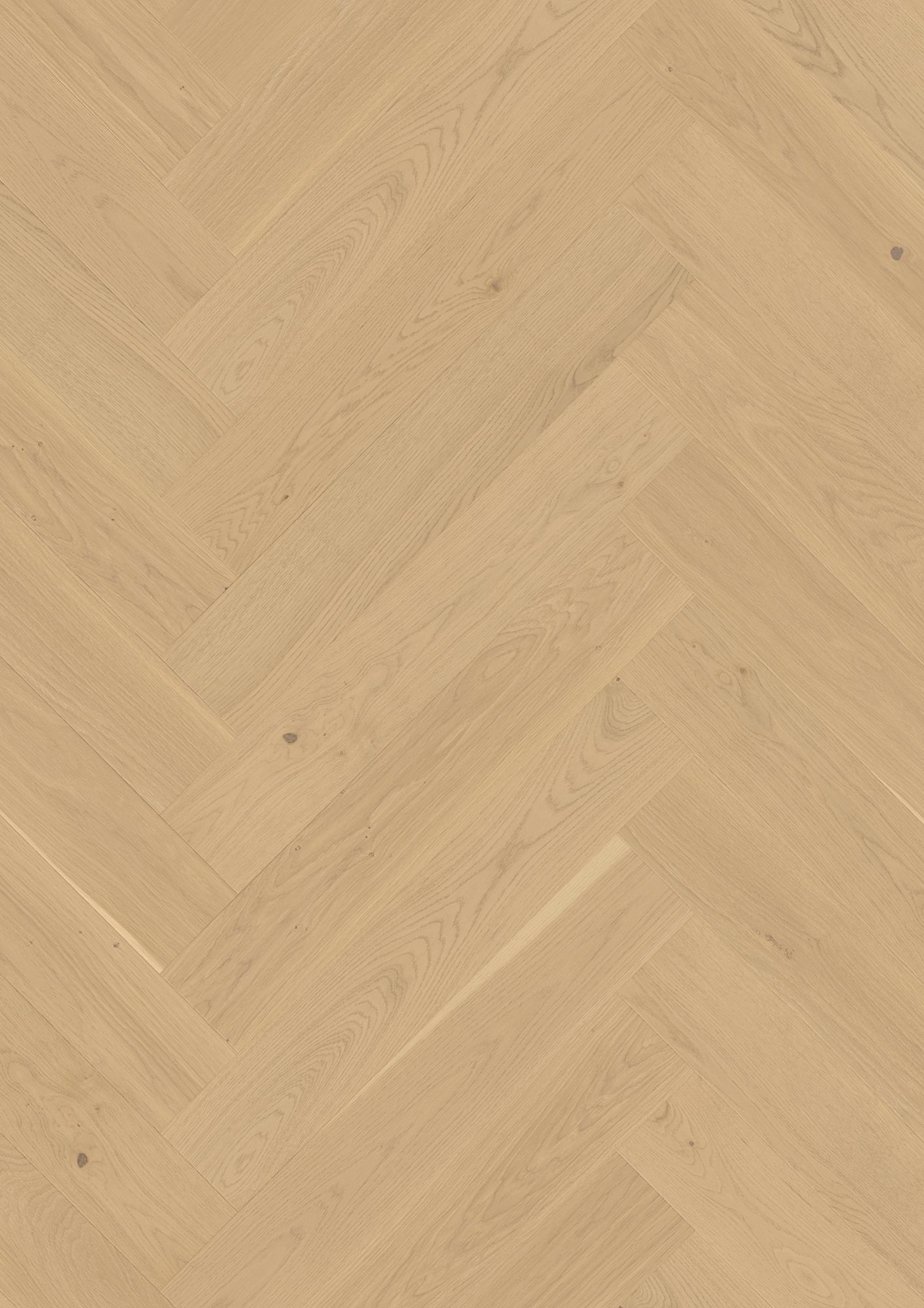 Oak White Andante