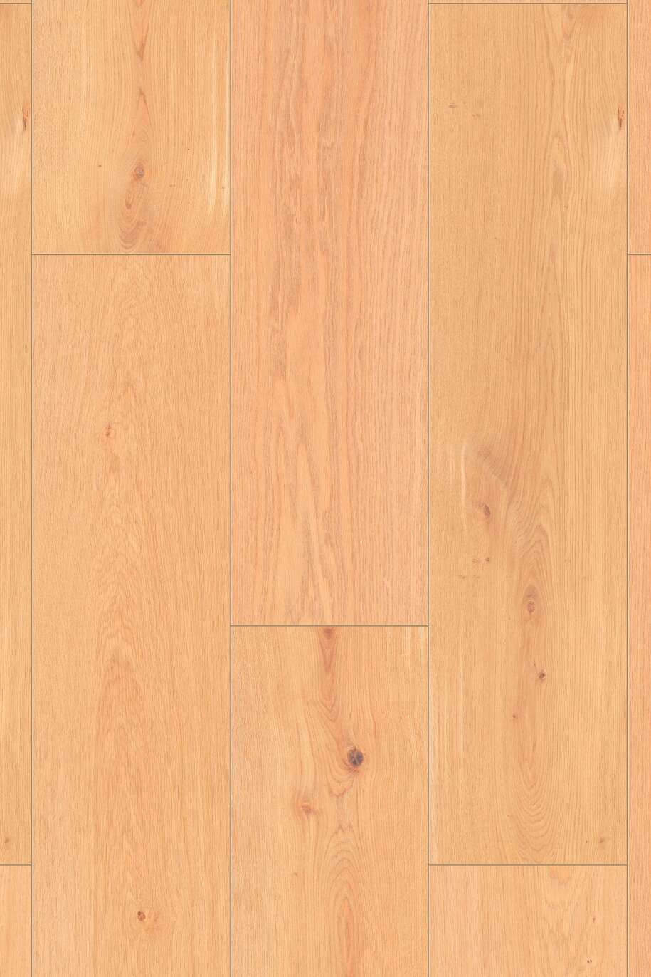R174 Salem Oak, FN